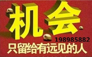代理中的战斗机 hz代理小颜，助您领航商海新高度